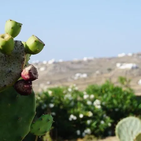 Villa Panormos Panorama Panormos (Mykonos)