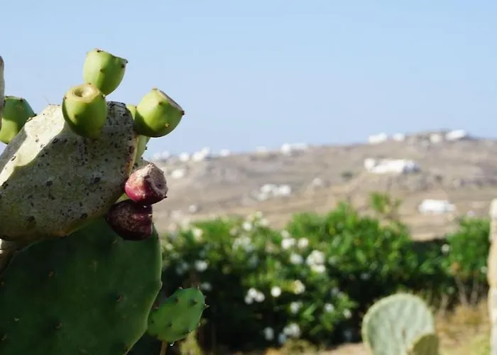 וילה Panormos Panorama פנורמוס מיקונוס